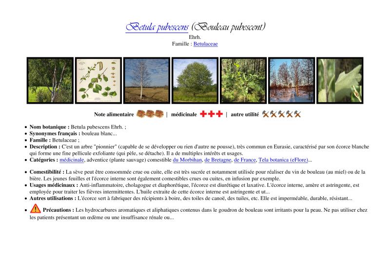 Photo pho7